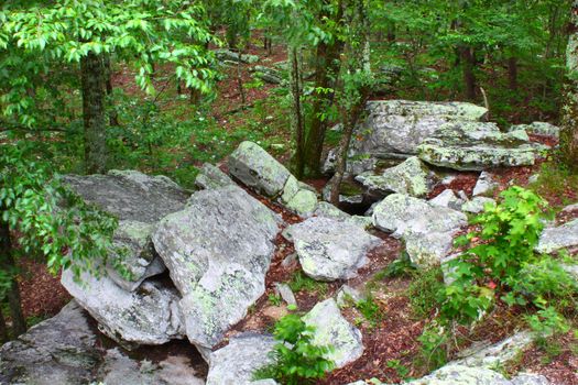 Rocks scatter the landscape at Cheaha State Park in Alabama.
