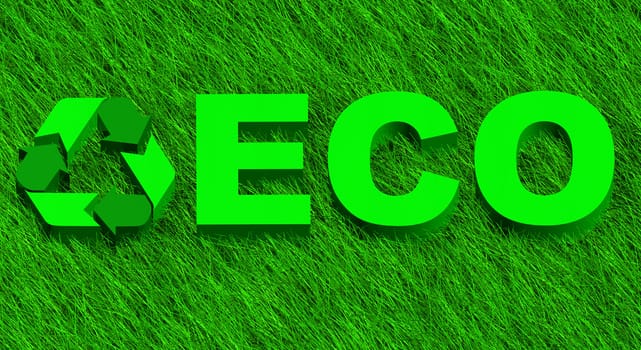 3D illustration of eco word over green grass