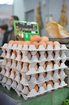 fresh eggs