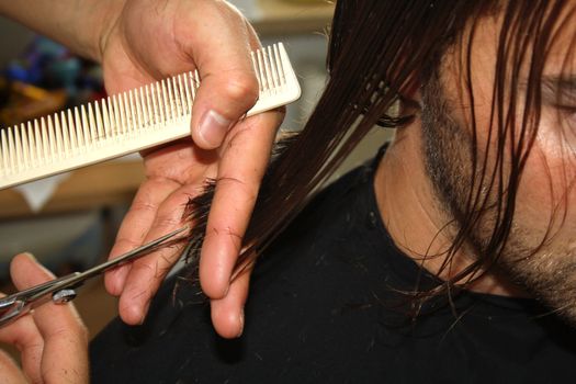 Master hairdresser cuts a customer's hair