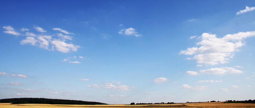 Beautiful scenery in the summer on sunny weather