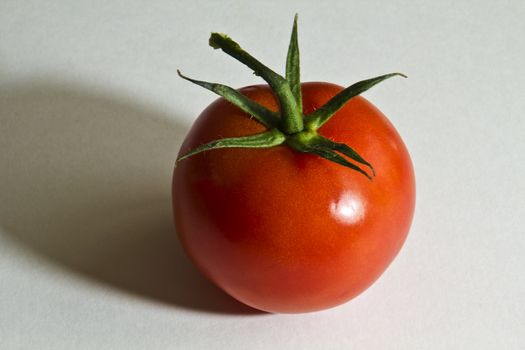 Still on the vine, one tasty looking tomatoe