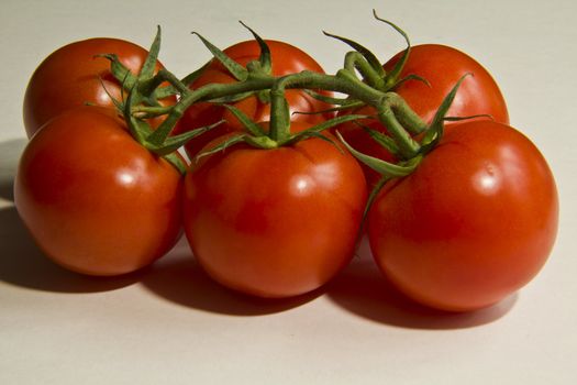 Six very red, very tasty looking vine tomatoes