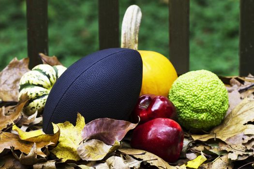 Bold colors of autumn seen in colorful, dried leaves, bright green of Osage Orange, red ripeness of delicious apples, clear orange of a pumpkin, and mottled green of a squash