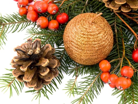 Sparkling candle, rowan, cones and fresh spruce on white background