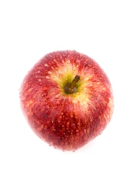 Tasty red apple on white background