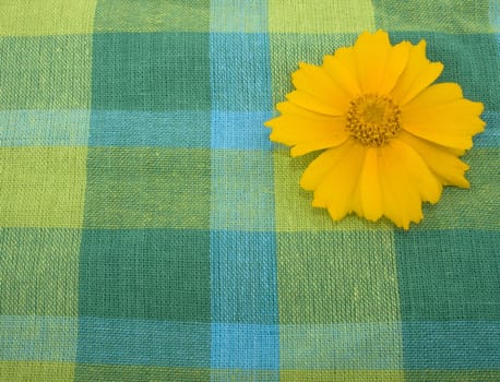 Blue and green linen background with yellow flower.