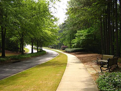 A photograph of a quiet country road.