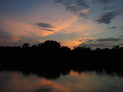 A photograph of a forest at twilight.