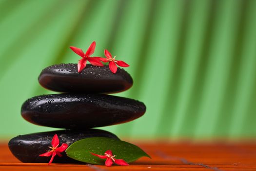 Spa & massage still life : close-up of balancing black stones, flowers and leafs