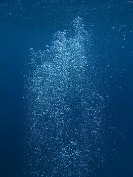 Column of bubble from a scuba dive 