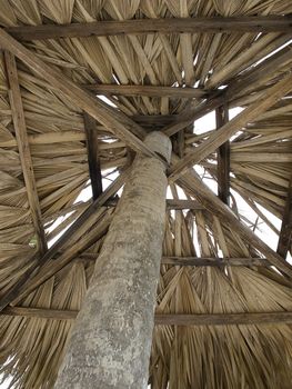 View of the inside of a straw parasol