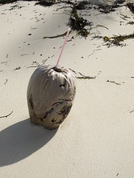 Old coconut that has served a drink washed up on a beach