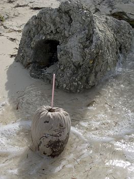 Old coconut that has served a drink washed up on a beach