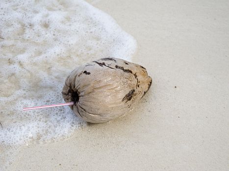 Old coconut that has served a drink washed up on a beach