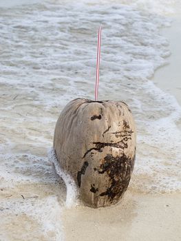 Old coconut that has served a drink washed up on a beach