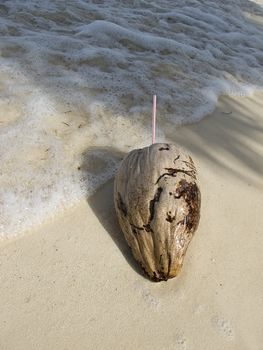 Old coconut that has served a drink washed up on a beach