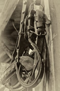 Parts of a cowboy saddle including a stirrup, cinch and latigo