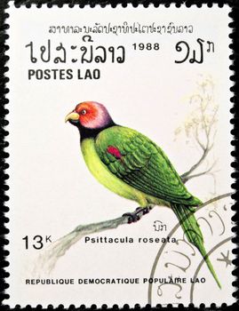 LAOS - circa 1988:stamp features a Blossom-headed Parakeet bird (Psittacula roseata), circa 1988 in the Lao People's Democratic Republic.