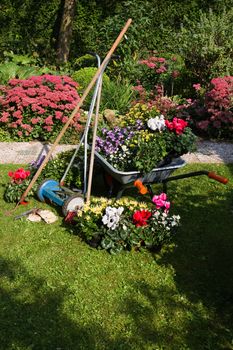 Wheelbarrow, grass mower, garden equipment, tools, preparing for planting new plants in the garden on early September morning