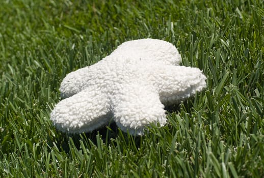 Stuffed toy on grass, with copy space on the toy itself.