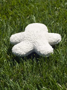 Stuffed toy on grass, with copy space on the toy itself.