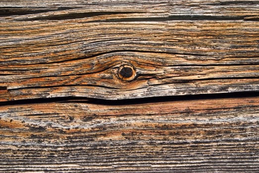 Wood texture background,old log.Wooden gnarl