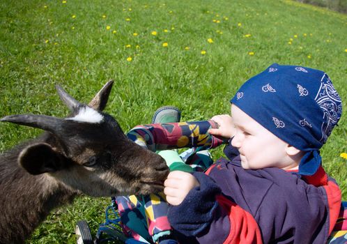 small boy plays with kid