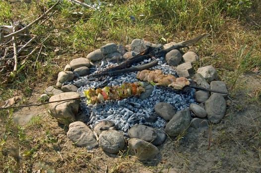 chicken barbecue on picnick