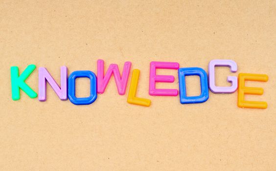 Knowledge in colorful toy letters on paper background