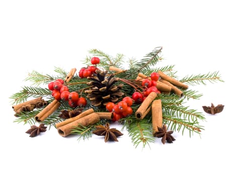 Cone, rowan, anise, cinnamon and fresh spruce on white background