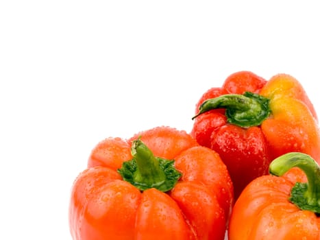 Closeup picture of fresh paprika on white background