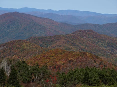 Along the trail in North Carolina. Views along the Art Loeb Trail.