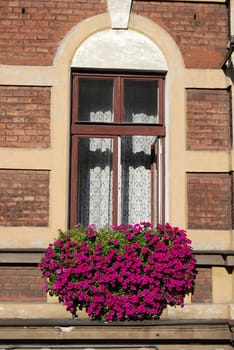 a window in krakow, poland, europe