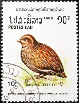LAOS - circa 1988:stamp features a Japanese Quail bird (Caturnix Japonica), circa 1988 in the Lao People's Democratic Republic.