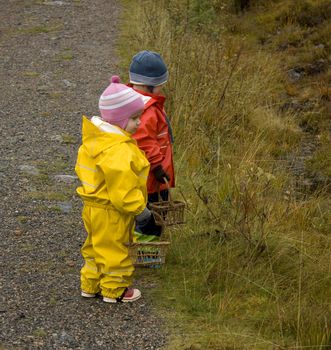 Children (2 and 3 years old) in brightly colored rainclothes, with baskets looking for mushrooms in autumn.