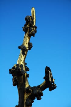 golden tree in Sydney CBD, detail photo