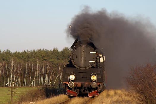 Vintage steam train passing through countryside
