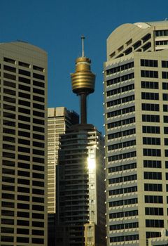 sydney tower among several grey skyscrapers, blue sky