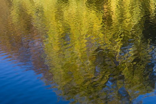 Reflection of yellow trees in autumn in water
