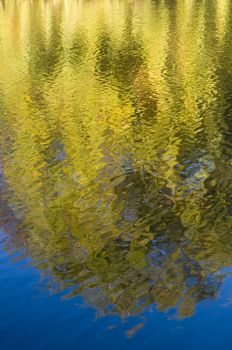 Reflection of yellow trees in autumn in water