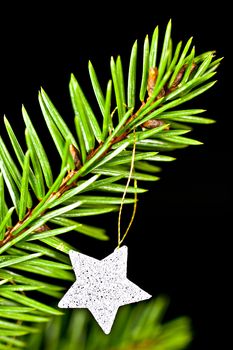 Fir branch with hanging Christmas decorations on a black background.
