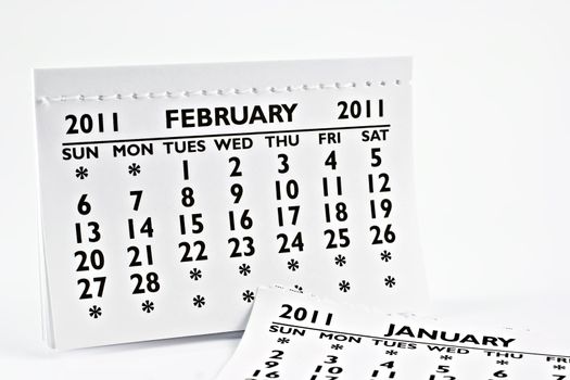 February 2011 - Calendar, macro photography. On a white background.