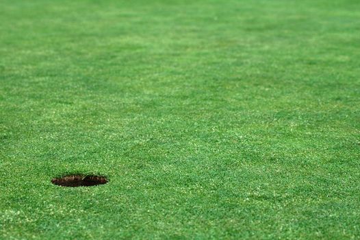 short cutted grass, golf hole, no ball, distance blur