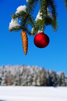 bauble and fir cone on a Christmas tree outside in a snowy landscape...