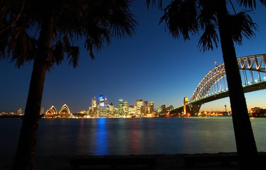 black palms in foreground, famous sydney scenery in background, night shot