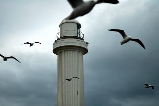 white lighthouse, several gulls flying around, dark cloudy sky