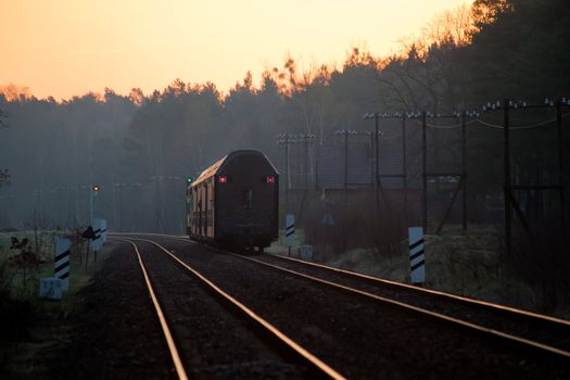 Passenger train hauled by the diesel locomotive passing the forest
