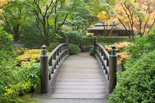 Wooden Foot Bridge in Japanese Garden in the Fall