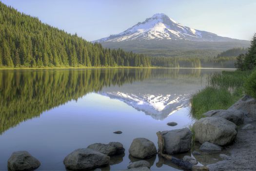 Mount Hood Reflection on Trillium Lake in the Morning